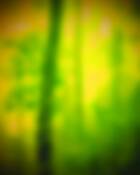 Impression