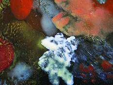 Untitled_12