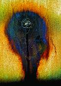 Head_3