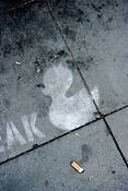 Street_duck
