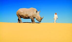 A_boy_and_his_rhino