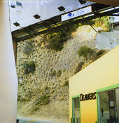 Cleaner_landscape
