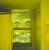 Nuclear_bath