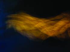 Leaf_abstraction_no__1