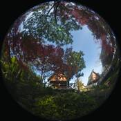 Yin-02