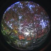 Yin-03