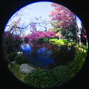 Yin-05