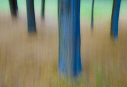 Untitled_9