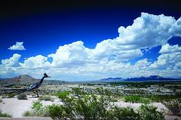 Roadrunner