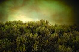 Landscape_08__colorado