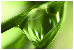 Raindrop_iv