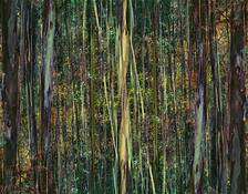 The_multiplied_forest__22