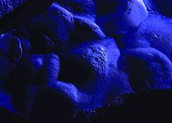 The_blues