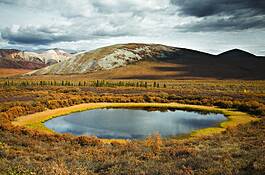 Yukon_pond