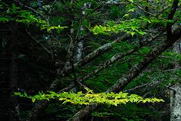 Untitled_5