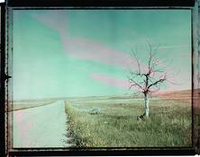 Prairie_road