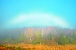 Fogbow