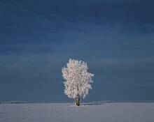 Hoarfrost