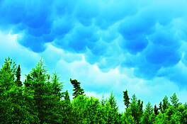 Mammatus_clouds