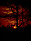 Sunset__2