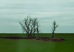 Untitled_1