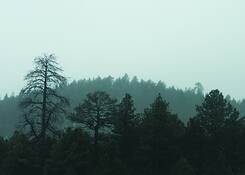 Untitled_2