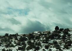 Untitled_3