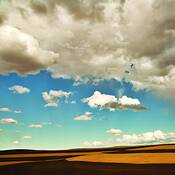 Autumn_field