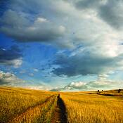 Trail_at_the_homestead