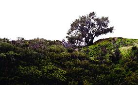 Untitled_1