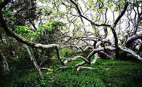 Untitled_2