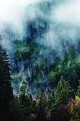 Untitled_6