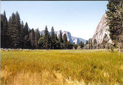 The_valley