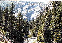 Valley_from_the_falls_2