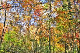 An_autumn_journey_01