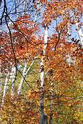 An_autumn_journey_03