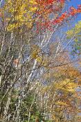 An_autumn_journey_04