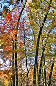 An_autumn_journey_05