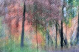 Autumn_rhythm_2