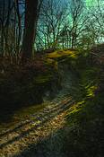 Park_3151