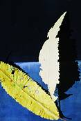 Autumn_leaves_3