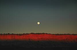 Christmas_moon