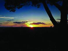 Sunset