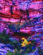Along_kane_creek_rd_
