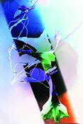 Bell_flower_1