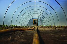 Hoop_house