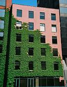 Chicage_building