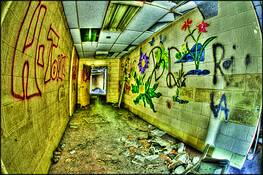 Hall_of_flowers_graffiti
