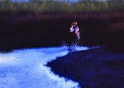 Pegasus_dance