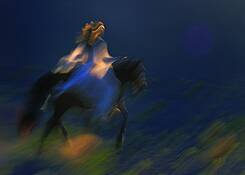 Pegasus_dance